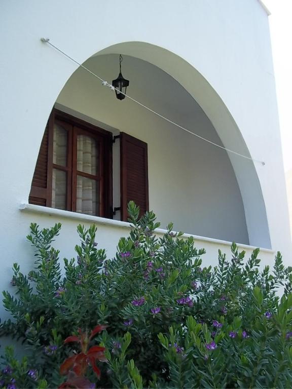Katerina Naxos City